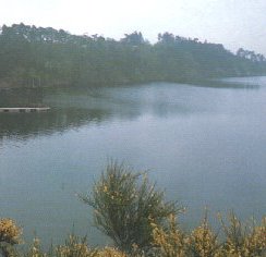 lac